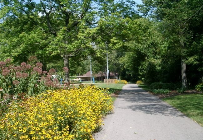 Forest Park