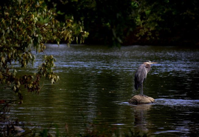 Blickman Educational Trail Park