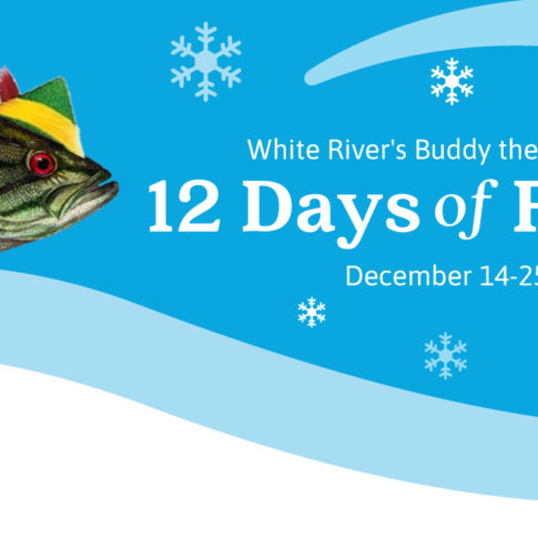 Fishmas 2024 Day 12