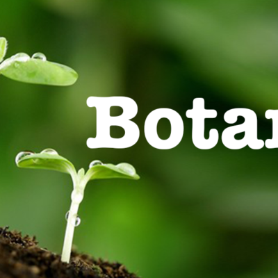 Homeschool Botany - Elementary
