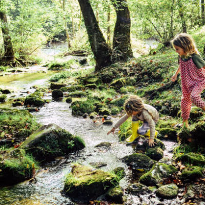 Family Creek Exploration