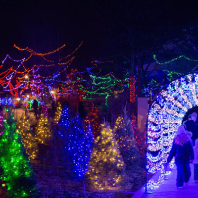 Christmas at the Zoo