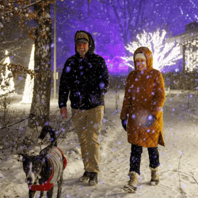 Dog Night at Winterlights