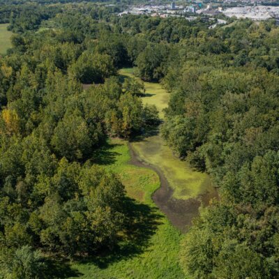 Forest Bathing at Fishers White River Park