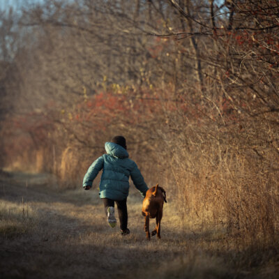 Teter Organic Farm & Retreat