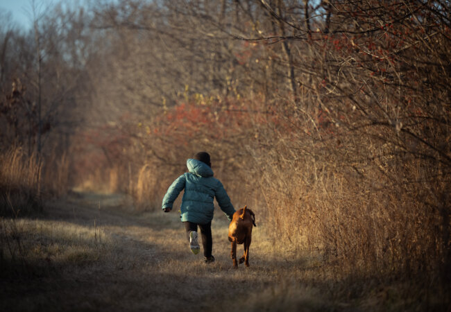 Teter Organic Farm & Retreat