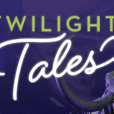Twilight Tales: Beyond the Grave