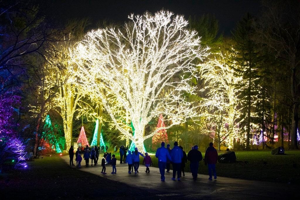 Winterlights at newfields with light-covered trees and grounds.