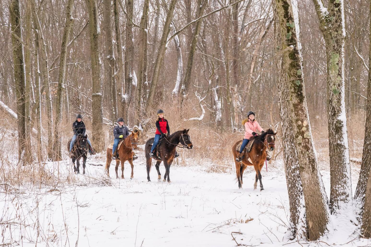 Four people on horseback in a snowy forest.
